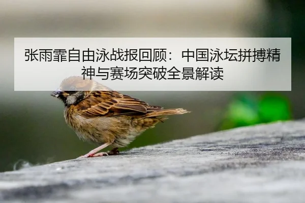 张雨霏自由泳战报回顾：中国泳坛拼搏精神与赛场突破全景解读